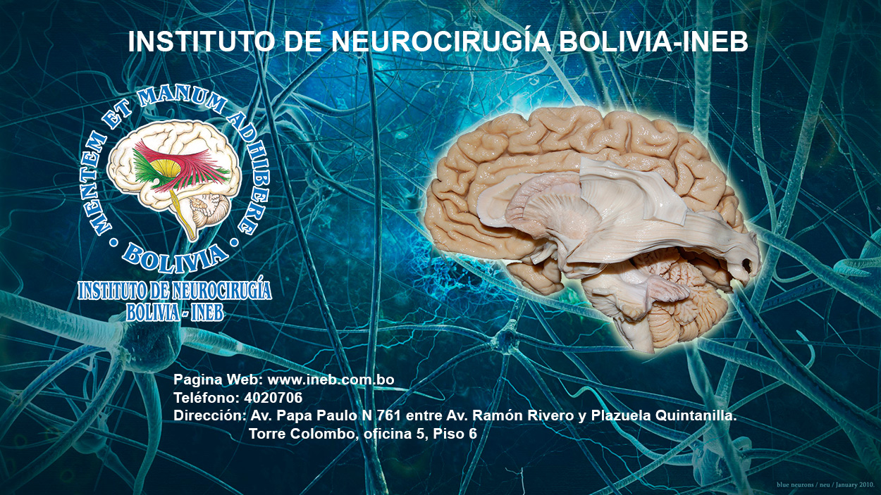 Instituto de Neurocirugía Bolivia- INEB